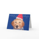 Chirstmas cards