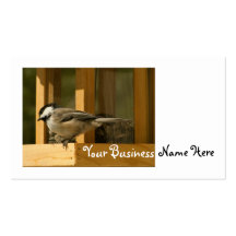 CHIS Chickadee is Suspicious Business Card Templates