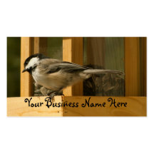 CHIS Chickadee is Suspicious Business Cards