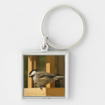CHIS Chickadee is Suspicious Key Chain