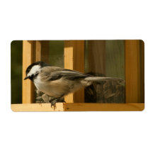 CHIS Chickadee is Suspicious Custom Shipping Labels