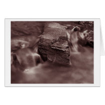 chiseled in a soft world cards