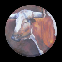 Chisholm Longhorn magnets