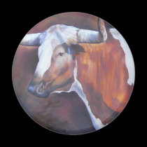 Chisholm Longhorn magnets