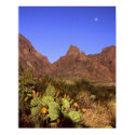 Chisos Moonrise posters