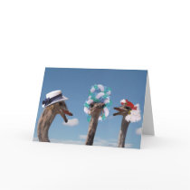 Chit chat card
