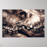 Chitwan rhino skulls posters