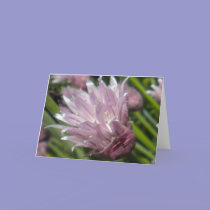 Chive Blossom Greeting card (blank) cards