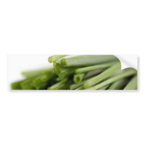 Chives Bumper Stickers
