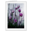 Chives in Bloom cards