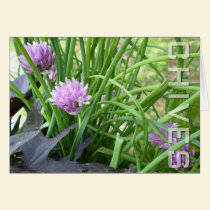 Chives, Notecard cards