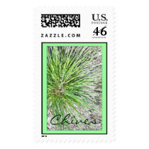CHIVES postage