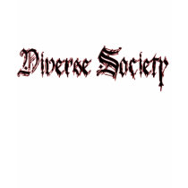 Chix DVS shirt by DiverseSociety Chix DVS shirt