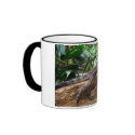 CHLAMYDOSAURUS KINGII mugs by CrisIsaac CHLAMYDOSAURUS KINGII mugs
