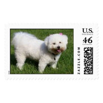Chloe in the Yard Postage Stamp