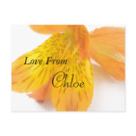 Chloe Postcard