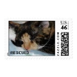 CHLOE RESCUED USPS FIRST-CLASS STAMP