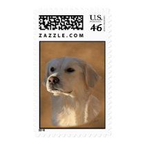 Chloe the golden retriever postage