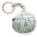 Chloe the Kangaroo and Friends Key Chains