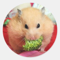 Chmurka and broccoli stickers