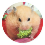 Chmurka and broccoli stickers