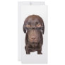 Choccy Lab in Glasses Personalized Rack Card
