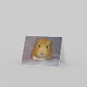 ChoCho Notecard by ctguineapigs ChoCho Notecard