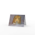 ChoCho Notecard by ctguineapigs ChoCho Notecard