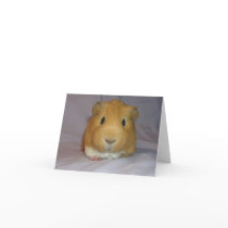 ChoCho Notecard