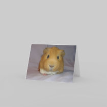ChoCho Notecard