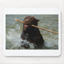 Chocloate Lab Mousepads