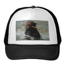 Chocloate Lab Trucker Hats