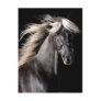 Choco Rocky Mountain Horse Postcard