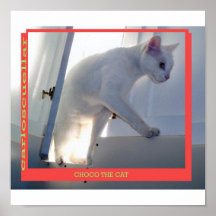 choco the cat posters