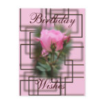 Chocolate and Knockout Rose Postcard- customize it
