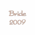 Chocolate and pink bride to be hoodie embroidered shirts