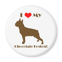 Chocolate Boston Terrier Magnet