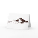 Chocolate Brown Lovebirds-Wedding Save the Date cards