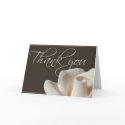 Chocolate brown winter white thank you cards by aslentz Chocolate brown winter white thank you cards