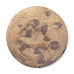Chocolate Chip Cookie magnets