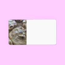Chocolate Chip Cookies labels