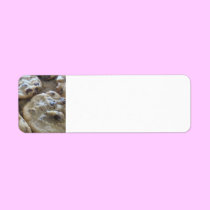 Chocolate Chip Cookies labels