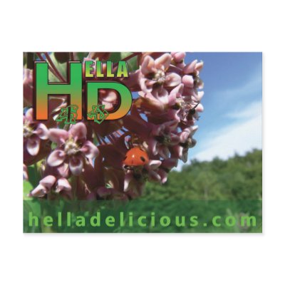 Chocolate Chip Recipe Postcard by HellaD
