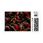 Chocolate Curls and Raspberries Postage Stamp
