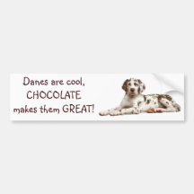Chocolate Harlequin Bumper Sticker