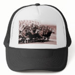 Chocolate Horse Race Hat