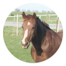 Chocolate Horse stickers by sharpcreations Chocolate Horse stickers