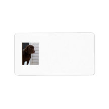 Chocolate Lab Avery Label