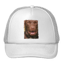 Chocolate Lab Basebal Hat