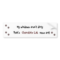 Chocolate Lab Bumper Sticker